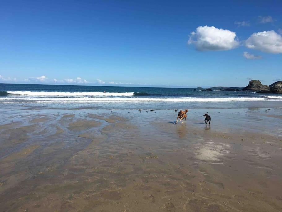 Ferienwohnung St Agnes Perfect Location, Hot Tub, Sea Views, Gym Exterior foto